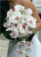 /album/galleria-foto-bouquet-sposa/bouquet-jpg/