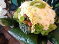 /album/galleria-foto-bouquet-sposa/a315970455240-jpg/