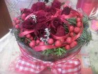 /album/galleria-foto-natale/a1983-jpg/