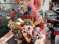 /album/galleria-foto-natale/a315970402427-jpg/