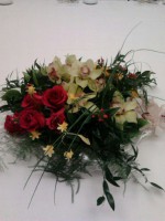 /album/galleria-foto-natale/a315970414390-jpg/