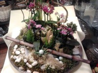 /album/galleria-foto-natale/a315970511679-jpg/