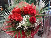 /album/galleria-foto-natale/a141-jpg/