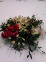 /album/galleria-foto-natale/a185-jpg/